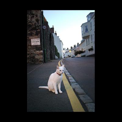 INSOLITE