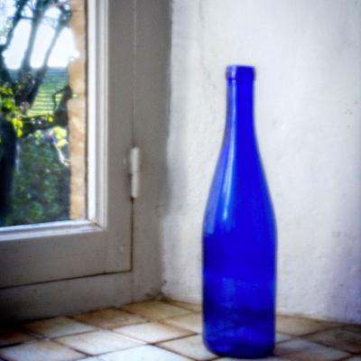 Bleu W