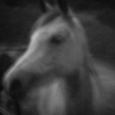 Cheval Flou